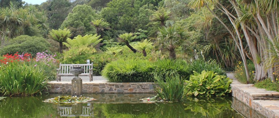Logan Botanic Gardens - image copyright Barry Russell